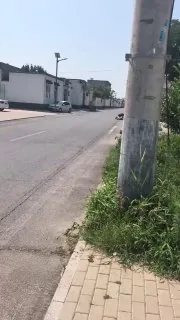 过年的猪，受惊的驴  生气的媳妇，岸上的鱼