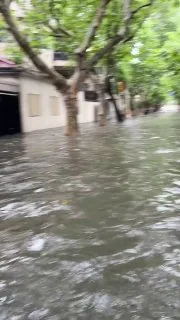 上海水灾，价值5个亿的房子说淹就淹。
