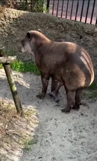 jb 堪比 “吸尘器”
