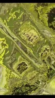 请大家看黄片