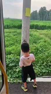 想起我的童年了，想当年咱也是一尿两米高的狠人